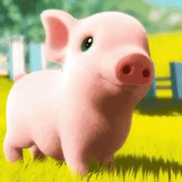 cute pigs gif